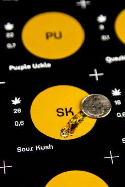 The Scratching Kitty Pot Guide Poster