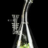"Phorbas" Cool Spore Perc Beaker Bong "Phorbas" Cool Spore Perc Beaker Bong