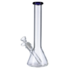 Glass Beaker Bong | 10 Inch