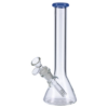 Glass Beaker Bong | 10 Inch