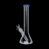 Glass Beaker Bong | 10 Inch
