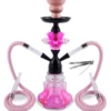 Double Hose Small Hookah Set with Accessories