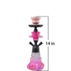 Double Hose Small Hookah Set with Accessories