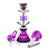 Premium Portable Mini Glass Hookah Set